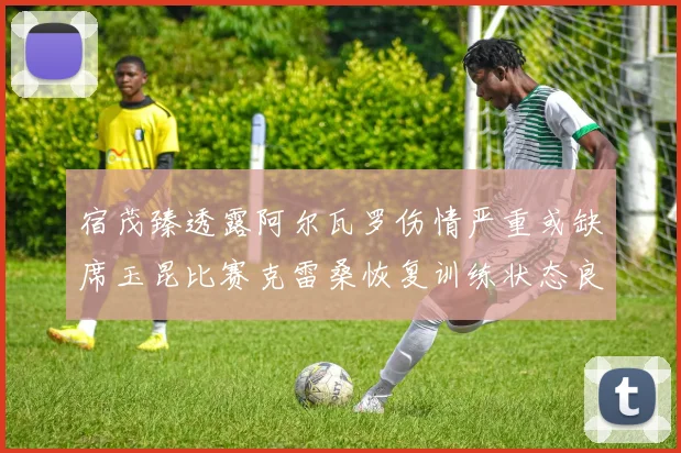 宿茂臻透露阿尔瓦罗伤情严重或缺席玉昆比赛克雷桑恢复训练状态良好