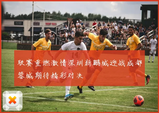 联赛重燃激情深圳新鹏城迎战成都蓉城期待精彩对决